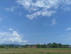 Cuaca Sangat Panas di Padang, Ini Imbauan Dinas Kesehatan