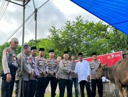 Kapolres Dharmasraya Salurkan 3 Ekor Hewan Qurban Untuk Masyarakat