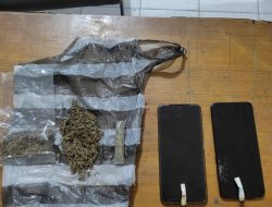 Tiga Pemuda Diamankan Polisi di Agam, Ditemukan Paket dan Linting Ganja