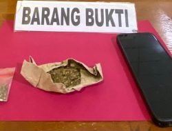 Pessel Zero Narkoba, Satresnarkoba Berhasil Ringkus Pelaku Narkotika Jenis Ganja di Sago Salido