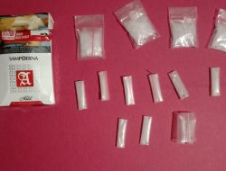 Satresnarkoba Polres Dharmasraya Berhasil Mengungkap Kasus Narkotika Jenis Sabu