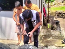 Satnarkoba Polres Pasbar tangkap Seorang Pelaku Pengedar Sabu