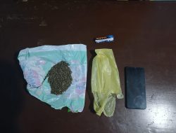 Polres Pasaman Ringkus seorang Pelaku Penyalahgunaan Narkoba