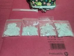 Tiga Warga Pulau Punjung Diringkus atas Kasus Penyalahgunaan Narkotika Gol 1 Jenis Sabu