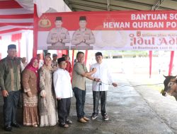 Polda Sumbar Berkurban 154 Sapi dan 19 Kambing, Kapolda serahkan 1 Ekor untuk PWI Sumbar