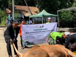 Arisal Aziz Bantu Jamaah Haji, dan Berkurban 25 Ekor Sapi
