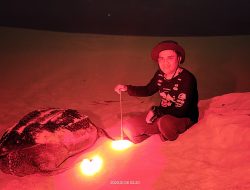 Aipda Wardika Saputra, S. H, Sosok Polisi Di Aceh Yang Melakukan Penangkaran Penyu Dan Penanaman Terumbu Karang