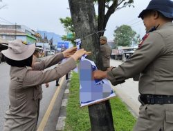 Satpol PP Padang Bongkar Sejumlah Poster yang Terpasang di Pohon-pohon Pelindung