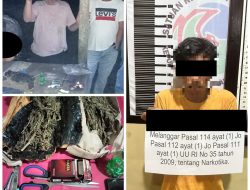 Satresnarkoba Polres Dharmasraya ringkus Pengedar Ganja dan Sabu, Sita Barang Bukti