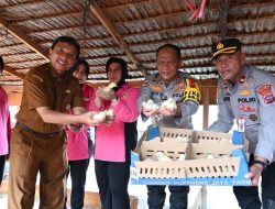 Kapolda Sumbar Hadiri Launching Penguatan Program Pekarangan Pangan Lestari Melalui Pendekatan Terintegrasi dan Berkelanjutan