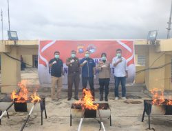 Polda Sumbar Musnahkan Barang Bukti Ganja 15,9 Kilogram