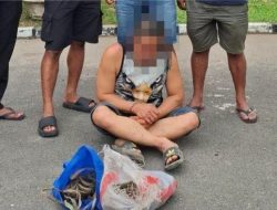 Seorang Pria Curi Kabel di Jalur Produksi PT Semen Padang, Polisi Cari Tahu Keterlibatan Pihak Lain