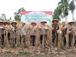 Polres Pasaman Barat Gelar Panen Jagung Serentak Kuartal I 2026 di Nagari Lingkuang Aua Bandarejo